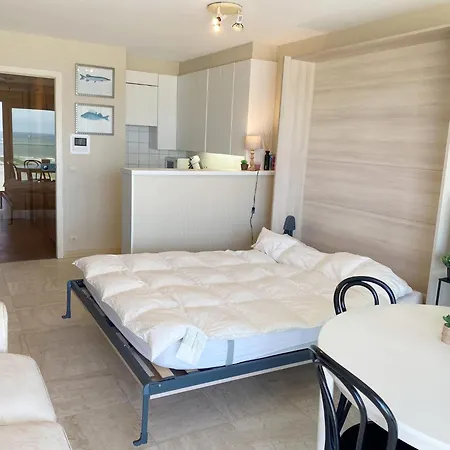 Apartment Seawind 502 Right On The Nieuwpoort