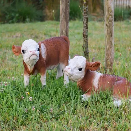 Beachside With Views