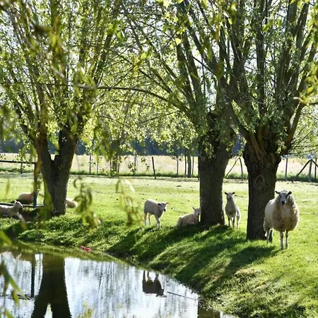 Beachside With Views Nieuwpoort
