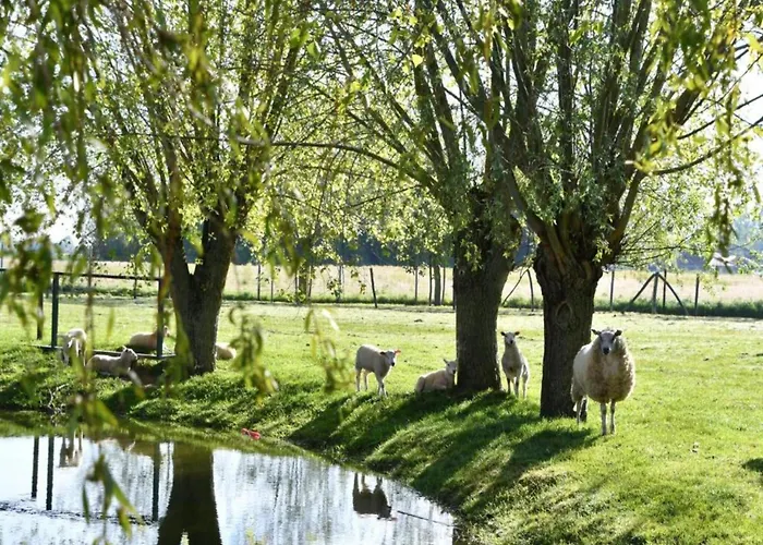 Beachside With Views Nieuwpoort